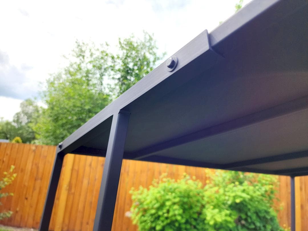 PEGAS PLUS — миниатюра 5